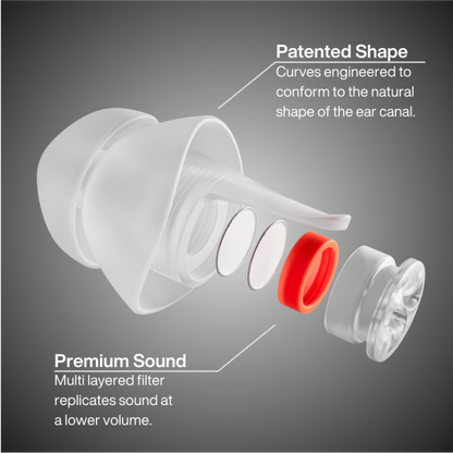 MUSIC PRO Earplugs